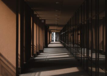 When Money Stops Feeling Like Freedom