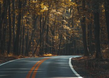 Why Financial “Stability” Never Quite Feels Stable